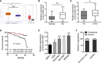 LncRNA SLCO4A1-AS1 Accelerates Growth and Metastasis of Gastric Cancer via Regulation of the miR-149/XIAP Axis